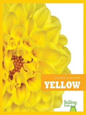 cover image of Yellow